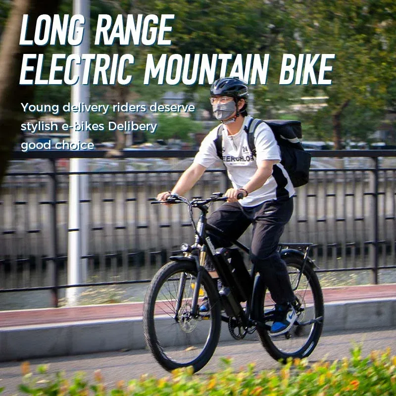 ChamRider DM427 E-Bike 3