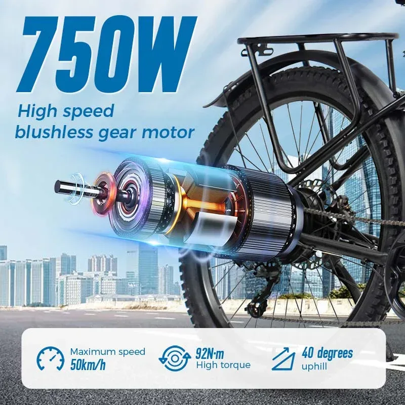 ChamRider DM427 E-Bike 5