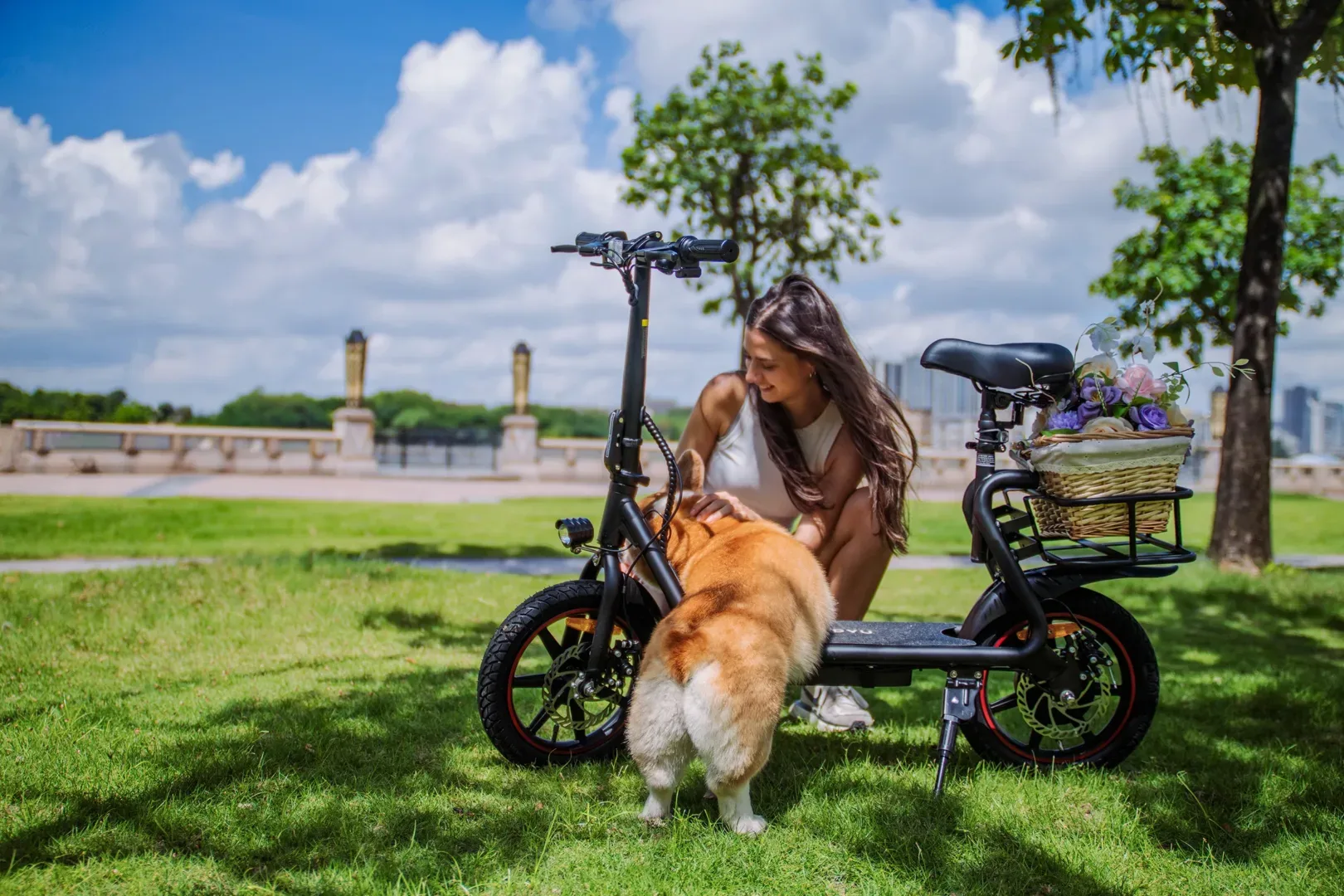 DYU C4 14 inch Foldable Electric Scooter 4