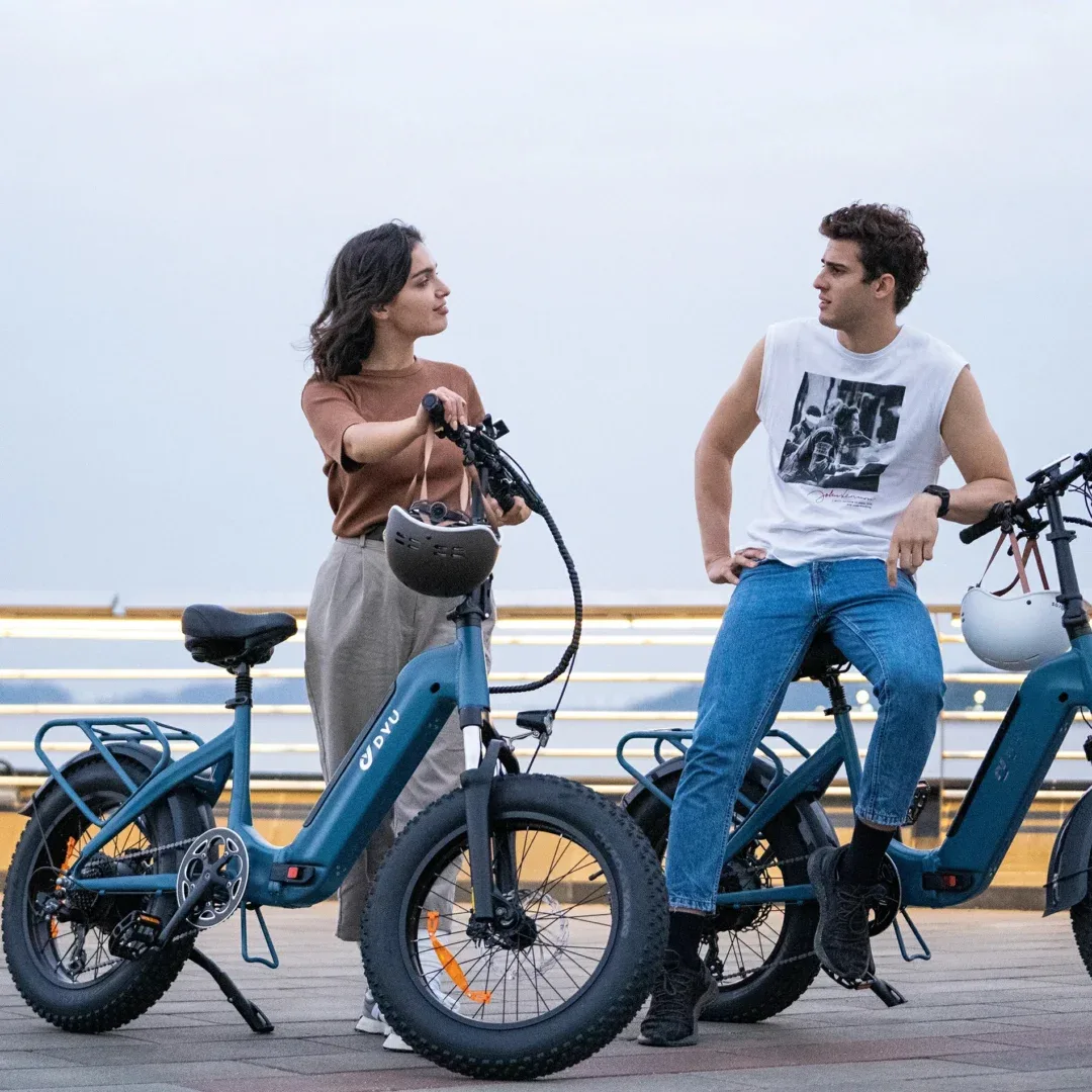 DYU FF500 20 Inch Fat Tire Electric Bike 3